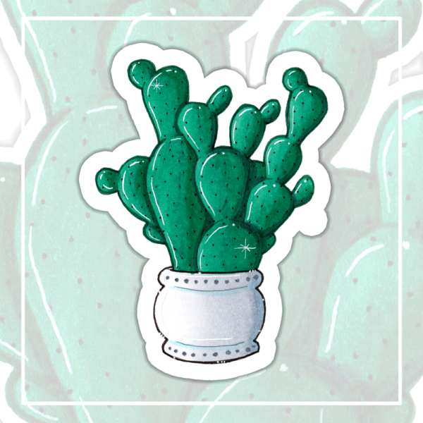 kaktus-4